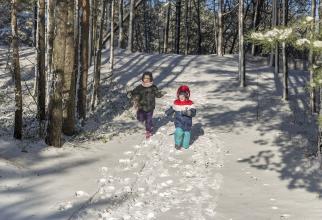 В Сургуте школьникам сокращают зимние каникулы