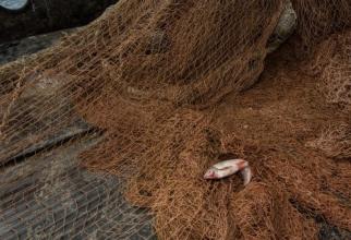 В ХМАО рыбак за три месяца дважды попался на браконьерстве