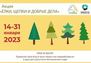 Жители Сургута могут сдать отслужившие елки на переработку