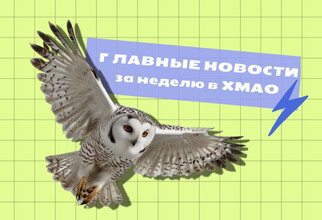 Жертва «совиного» фотографа и зрелищное шоу от борца: самые обсуждаемые новости ХМАО за неделю