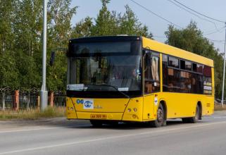 В Нижневартовске запустили автобусы до базы отдыха и Экоэтнопарка