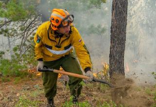 Почти 100 пожарных из Югры поехали тушить лес в Курганскую область