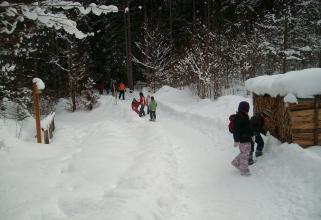Почти 100 сургутских школьников на время зимних каникул отправят в детские лагеря других регионов