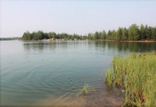 В Сургутском районе обрабатывают водоемы от комаров