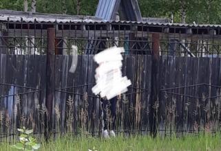 В Сургутском районе на заборе детского сада нашли тело мужчины