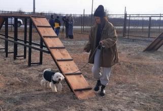 В Нефтеюганске открылась первая в городе тренировочная площадка для собак