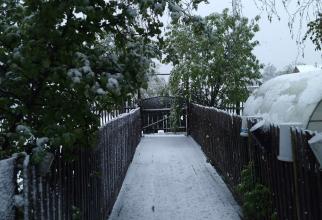 В нескольких поселениях Нижневартовского района Югры 8 июня выпал снег